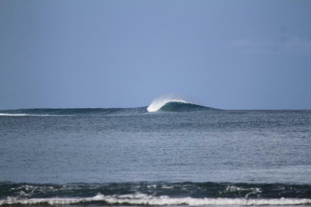 Oseda Nias Surf House Hotel Hilibotodane Exterior foto